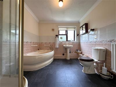 Picture 21